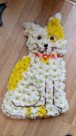 Cat Tribute